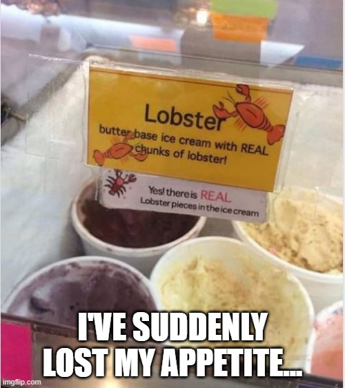 No No No | I'VE SUDDENLY LOST MY APPETITE... | image tagged in strange food | made w/ Imgflip meme maker