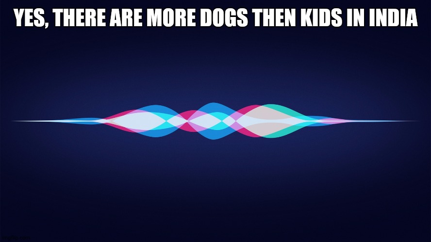 siri | YES, THERE ARE MORE DOGS THEN KIDS IN INDIA | image tagged in siri | made w/ Imgflip meme maker