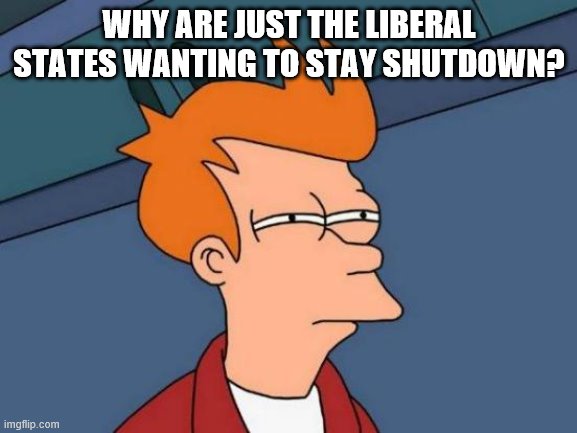 Futurama Fry | WHY ARE JUST THE LIBERAL STATES WANTING TO STAY SHUTDOWN? | image tagged in memes,futurama fry,SelfAwarewolves | made w/ Imgflip meme maker