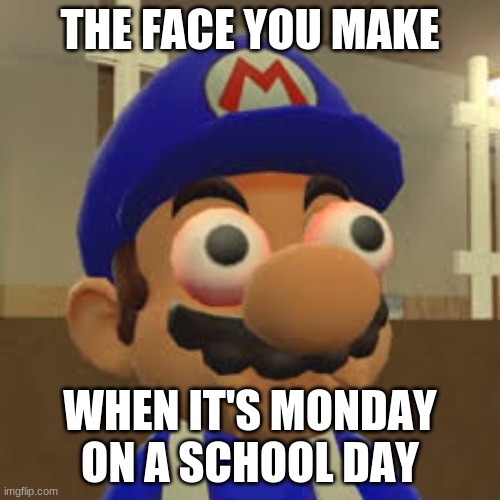 My face during school days | THE FACE YOU MAKE; WHEN IT'S MONDAY ON A SCHOOL DAY | image tagged in smg4 oh shit | made w/ Imgflip meme maker