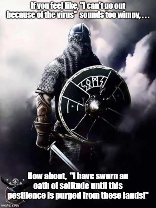 Viking Warrior | If you feel like, "I can't go out because of the virus"  sounds too wimpy, . . . How about,  "I have sworn an oath of solitude until this pestilence is purged from these lands!" | image tagged in viking warrior | made w/ Imgflip meme maker