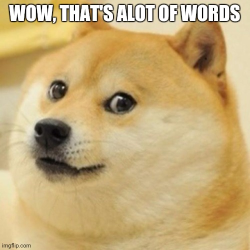 wow doge | WOW, THAT'S ALOT OF WORDS | image tagged in wow doge | made w/ Imgflip meme maker