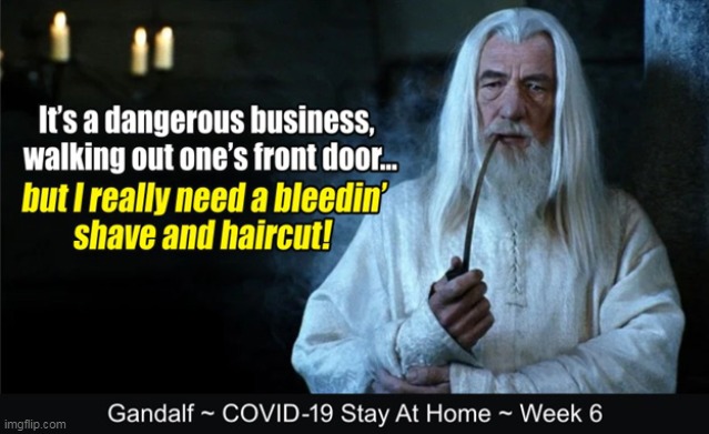 Hairdressers~Please give me a "ring" if you can fit me in! | image tagged in memes,covid-19,politics,gandalf,stay at home | made w/ Imgflip meme maker