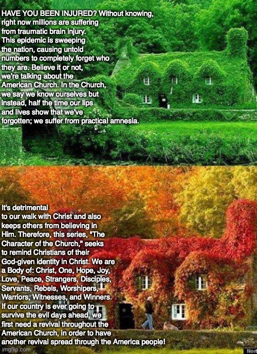 HAVE YOU BEEN INJURED? Without knowing, right now millions are suffering from traumatic brain injury. This epidemic is sweeping the nation, causing untold numbers to completely forget who they are. Believe it or not, we’re talking about the American Church. In the Church, we say we know ourselves but instead, half the time our lips and lives show that we’ve forgotten; we suffer from practical amnesia. It's detrimental to our walk with Christ and also keeps others from believing in Him. Therefore, this series, "The Character of the Church," seeks to remind Christians of their God-given identity in Christ. We are a Body of: Christ, One, Hope, Joy, Love, Peace, Strangers, Disciples, Servants, Rebels, Worshipers, Warriors, Witnesses, and Winners. If our country is ever going to survive the evil days ahead, we first need a revival throughout the American Church, in order to have another revival spread through the America people! | image tagged in revival,church,god,character,bible,christian | made w/ Imgflip meme maker
