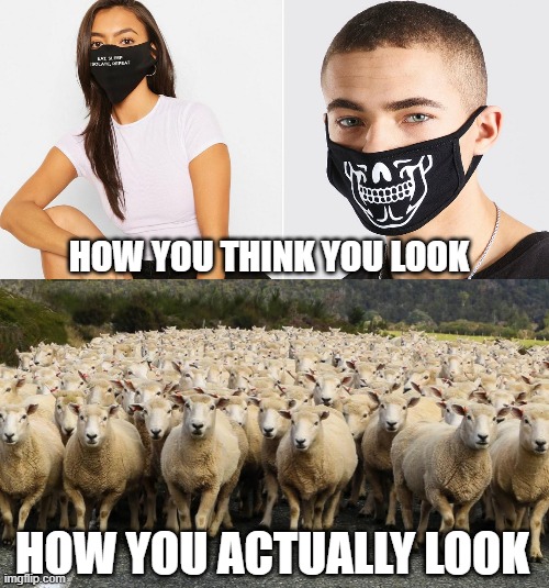 Look at my mask everyone! | HOW YOU THINK YOU LOOK; HOW YOU ACTUALLY LOOK | image tagged in covid-19,coronavirus,corona virus,covid19,covid,mask | made w/ Imgflip meme maker