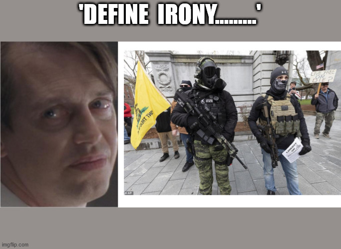 'DEFINE  IRONY.........' | image tagged in politics | made w/ Imgflip meme maker