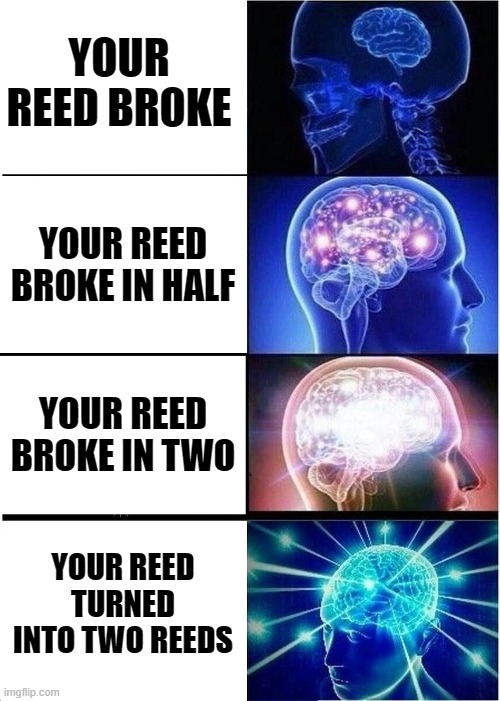 Expanding Brain Meme | YOUR REED BROKE; YOUR REED BROKE IN HALF; YOUR REED BROKE IN TWO; YOUR REED TURNED INTO TWO REEDS | image tagged in memes,expanding brain | made w/ Imgflip meme maker
