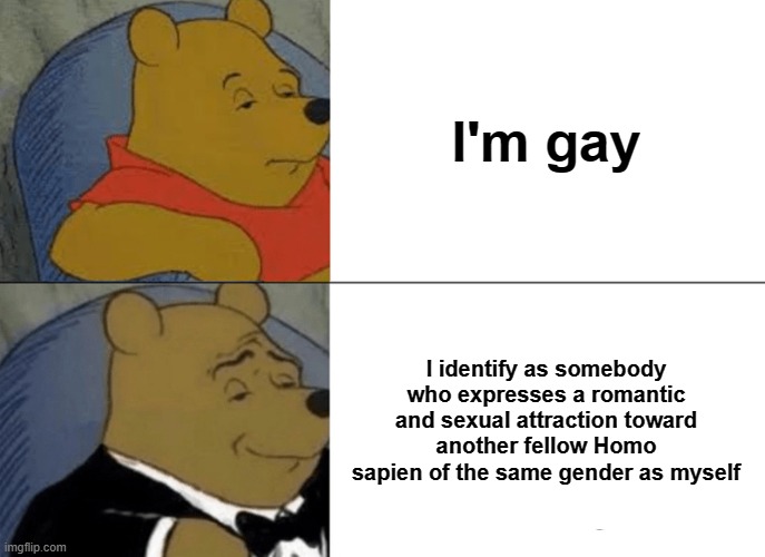 A creative way of coming out of the closet for the first time | I'm gay; I identify as somebody who expresses a romantic and sexual attraction toward another fellow Homo sapien of the same gender as myself | image tagged in memes,tuxedo winnie the pooh | made w/ Imgflip meme maker