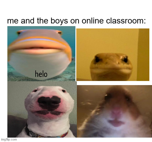 online classroom be like | me and the boys on online classroom: | image tagged in me and the boys,quarantine,covid-19,hamster,helo,dog | made w/ Imgflip meme maker