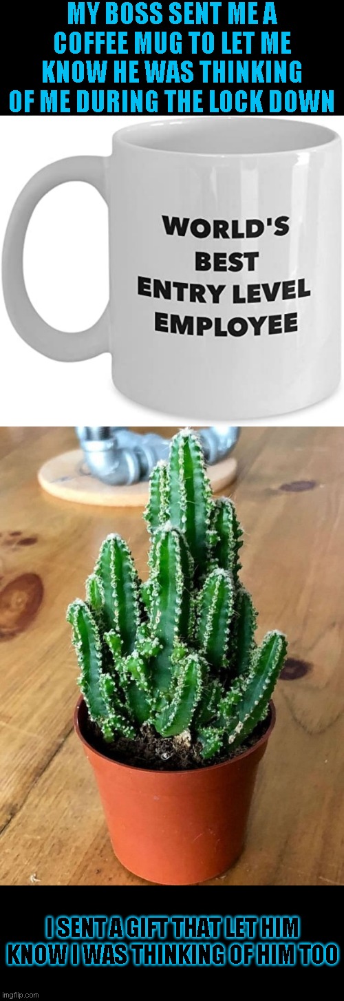 too subtle? | MY BOSS SENT ME A COFFEE MUG TO LET ME KNOW HE WAS THINKING OF ME DURING THE LOCK DOWN; I SENT A GIFT THAT LET HIM KNOW I WAS THINKING OF HIM TOO | image tagged in just a joke | made w/ Imgflip meme maker