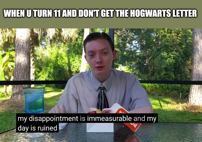 My Disappointment Is Immeasurable | WHEN U TURN 11 AND DON'T GET THE HOGWARTS LETTER | image tagged in my disappointment is immeasurable | made w/ Imgflip meme maker