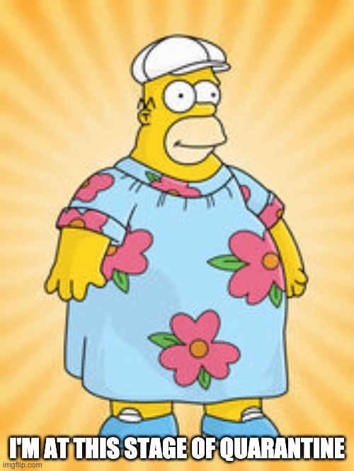 Homer mumu | I'M AT THIS STAGE OF QUARANTINE | image tagged in homer mumu,quarantine,coronavirus | made w/ Imgflip meme maker