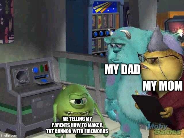 Mike wazowski trying to explain | MY DAD; MY MOM; ME TELLING MY PARENTS HOW TO MAKE A TNT CANNON WITH FIREWORKS | image tagged in mike wazowski trying to explain | made w/ Imgflip meme maker