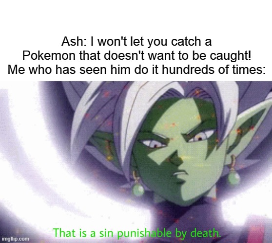 "Ningen" | Ash: I won't let you catch a Pokemon that doesn't want to be caught!
Me who has seen him do it hundreds of times: | image tagged in ningen | made w/ Imgflip meme maker