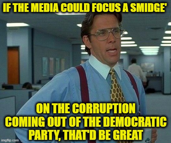 Just a Smidgen Will Do | IF THE MEDIA COULD FOCUS A SMIDGE'; ON THE CORRUPTION COMING OUT OF THE DEMOCRATIC PARTY, THAT'D BE GREAT | image tagged in memes,that would be great,ConservativeMemes | made w/ Imgflip meme maker