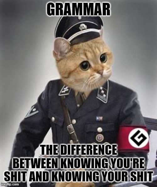 Grammar Nazi Cat | GRAMMAR; THE DIFFERENCE BETWEEN KNOWING YOU'RE SHIT AND KNOWING YOUR SHIT | image tagged in grammar nazi cat | made w/ Imgflip meme maker