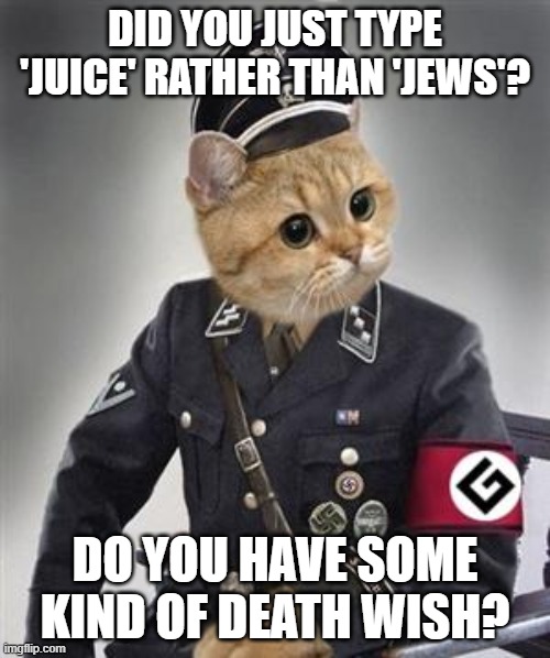 Grammar Nazi Cat | DID YOU JUST TYPE 'JUICE' RATHER THAN 'JEWS'? DO YOU HAVE SOME KIND OF DEATH WISH? | image tagged in grammar nazi cat | made w/ Imgflip meme maker