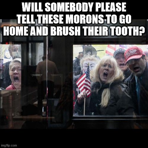 Trump Michigan Protesters | WILL SOMEBODY PLEASE TELL THESE MORONS TO GO HOME AND BRUSH THEIR TOOTH? | image tagged in trump michigan protesters | made w/ Imgflip meme maker
