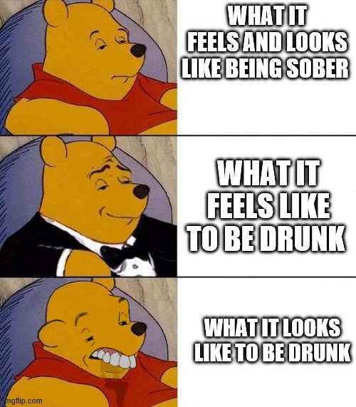 Best,Better, Blurst | WHAT IT FEELS AND LOOKS LIKE BEING SOBER; WHAT IT FEELS LIKE TO BE DRUNK; WHAT IT LOOKS LIKE TO BE DRUNK | image tagged in best better blurst | made w/ Imgflip meme maker