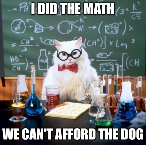 Chemistry Cat | I DID THE MATH; WE CAN'T AFFORD THE DOG | image tagged in memes,chemistry cat | made w/ Imgflip meme maker