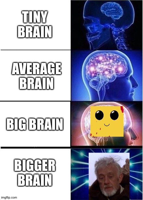 Expanding Brain | TINY BRAIN; AVERAGE BRAIN; BIG BRAIN; BIGGER BRAIN | image tagged in memes,expanding brain | made w/ Imgflip meme maker