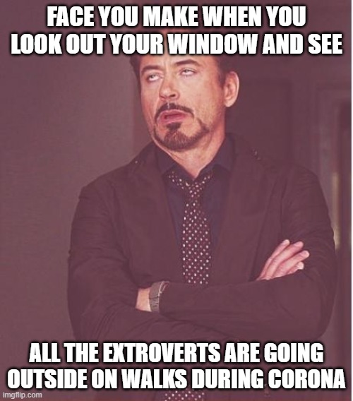 Face You Make Robert Downey Jr | FACE YOU MAKE WHEN YOU LOOK OUT YOUR WINDOW AND SEE; ALL THE EXTROVERTS ARE GOING OUTSIDE ON WALKS DURING CORONA | image tagged in memes,face you make robert downey jr | made w/ Imgflip meme maker