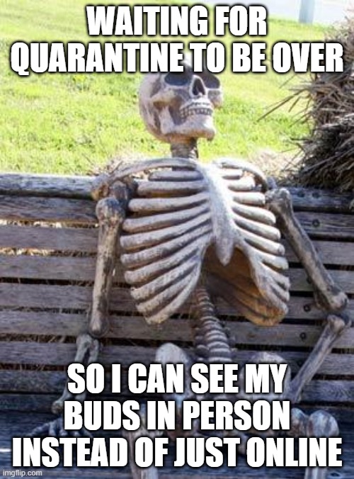 Waiting Skeleton | WAITING FOR QUARANTINE TO BE OVER; SO I CAN SEE MY BUDS IN PERSON INSTEAD OF JUST ONLINE | image tagged in memes,waiting skeleton | made w/ Imgflip meme maker