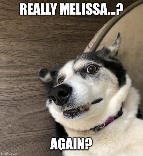 Ava Badava | REALLY MELISSA...? AGAIN? | image tagged in ava badava | made w/ Imgflip meme maker