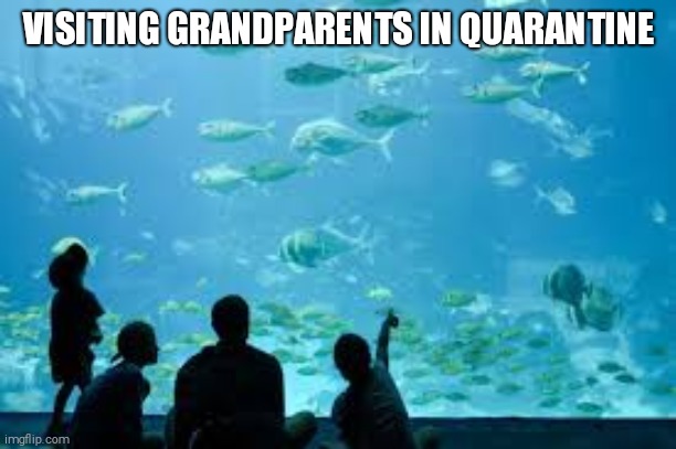 VISITING GRANDPARENTS IN QUARANTINE | image tagged in covid 19,quarantine | made w/ Imgflip meme maker