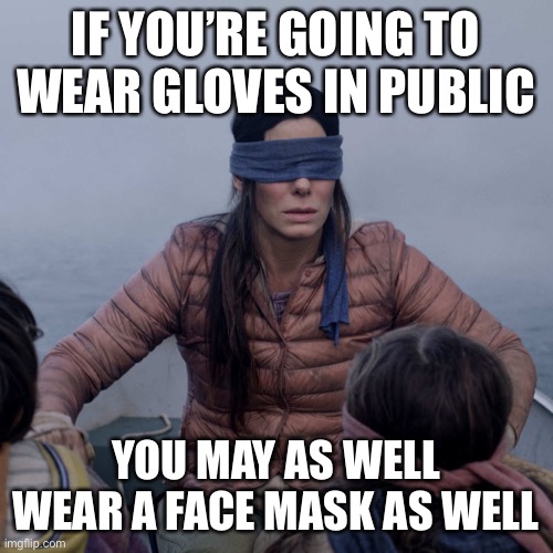 Bird Box | IF YOU’RE GOING TO WEAR GLOVES IN PUBLIC; YOU MAY AS WELL WEAR A FACE MASK AS WELL | image tagged in memes,bird box | made w/ Imgflip meme maker