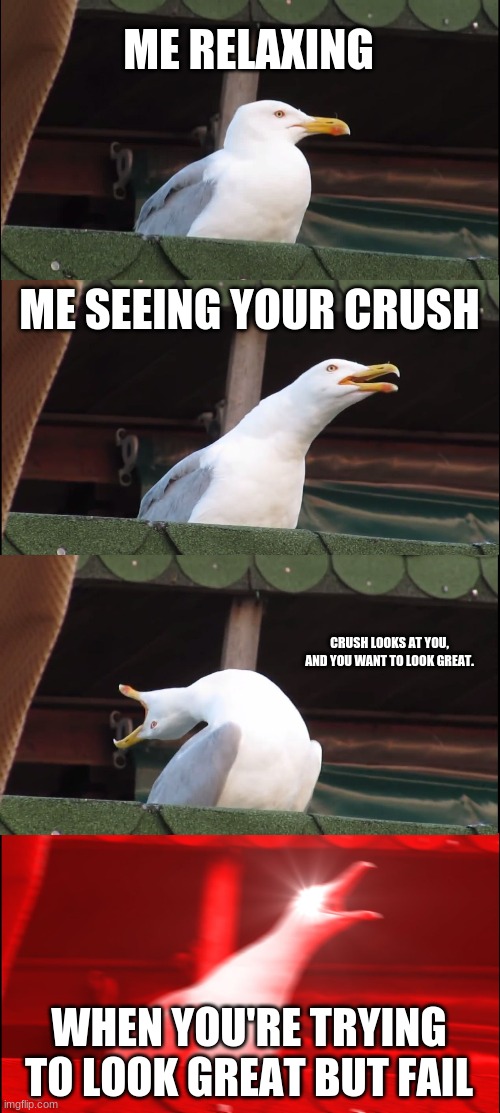 Inhaling Seagull | ME RELAXING; ME SEEING YOUR CRUSH; CRUSH LOOKS AT YOU, AND YOU WANT TO LOOK GREAT. WHEN YOU'RE TRYING TO LOOK GREAT BUT FAIL | image tagged in memes,inhaling seagull | made w/ Imgflip meme maker