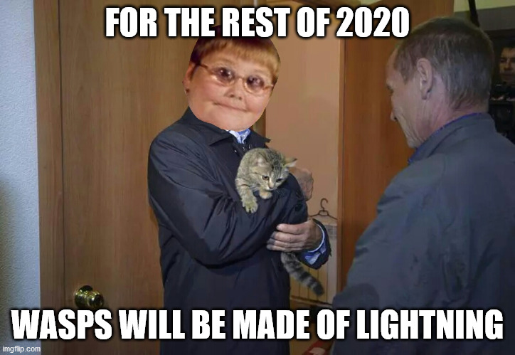 Dank putin with dank catin | FOR THE REST OF 2020; WASPS WILL BE MADE OF LIGHTNING | image tagged in dank putin with dank catin | made w/ Imgflip meme maker