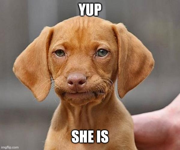 Yup | YUP SHE IS | image tagged in yup | made w/ Imgflip meme maker