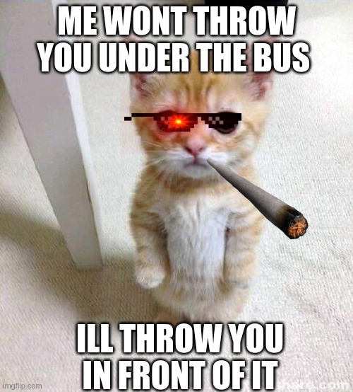 Cute Cat Meme | ME WONT THROW YOU UNDER THE BUS; ILL THROW YOU IN FRONT OF IT | image tagged in memes,cute cat | made w/ Imgflip meme maker