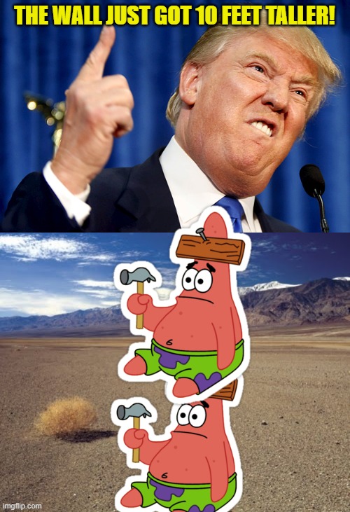 THE WALL JUST GOT 10 FEET TALLER! | image tagged in donald trump,desert tumbleweed | made w/ Imgflip meme maker