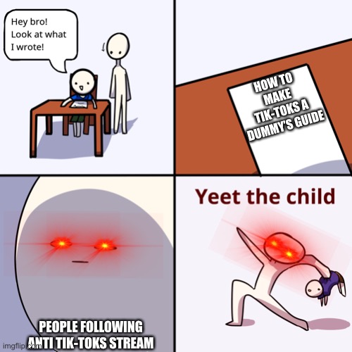 Yeet the child | HOW TO MAKE TIK-TOKS A DUMMY’S GUIDE; PEOPLE FOLLOWING ANTI TIK-TOKS STREAM | image tagged in yeet the child | made w/ Imgflip meme maker