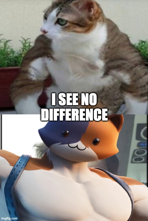 I SEE NO DIFFERENCE | made w/ Imgflip meme maker