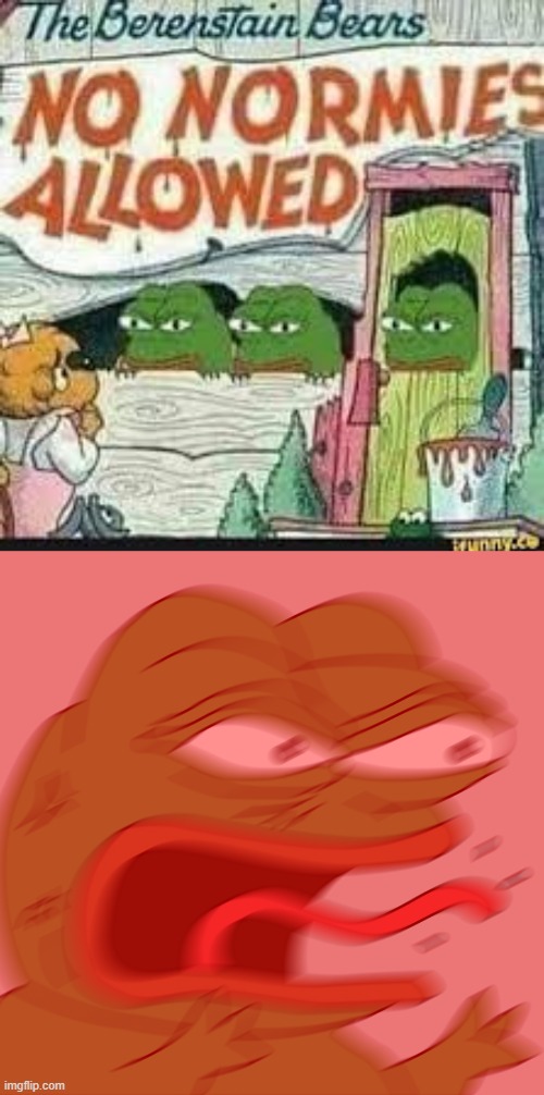 No NoRmIes AlLoWeD | image tagged in rage pepe | made w/ Imgflip meme maker