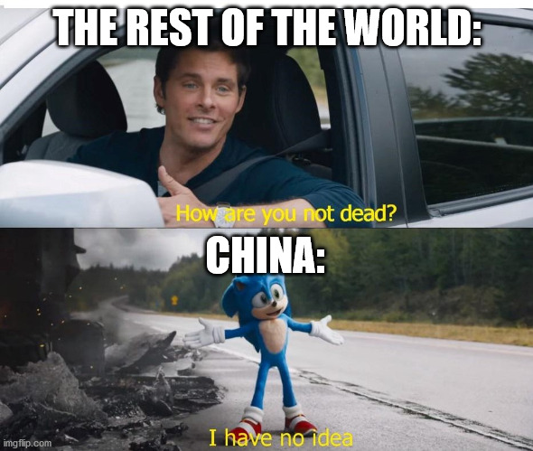 sonic how are you not dead | THE REST OF THE WORLD:; CHINA: | image tagged in sonic how are you not dead | made w/ Imgflip meme maker