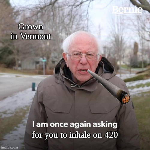 Bernie reminder | Grown in Vermont; for you to inhale on 420 | image tagged in memes,bernie i am once again asking for your support,bernie sanders,weed,420 blaze it,fun | made w/ Imgflip meme maker
