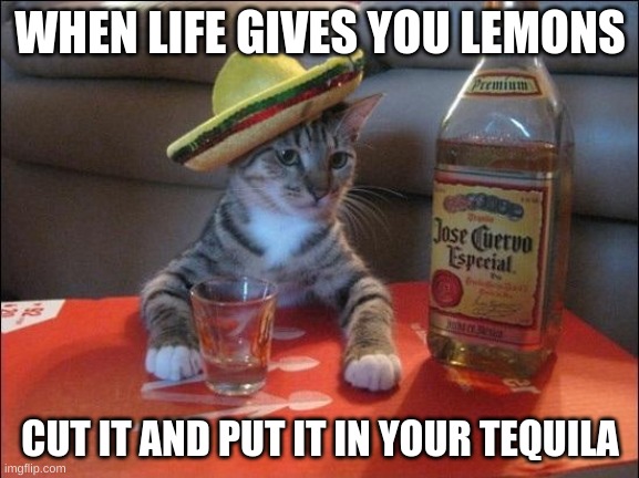 Tequila Cat | WHEN LIFE GIVES YOU LEMONS; CUT IT AND PUT IT IN YOUR TEQUILA | image tagged in tequila cat | made w/ Imgflip meme maker