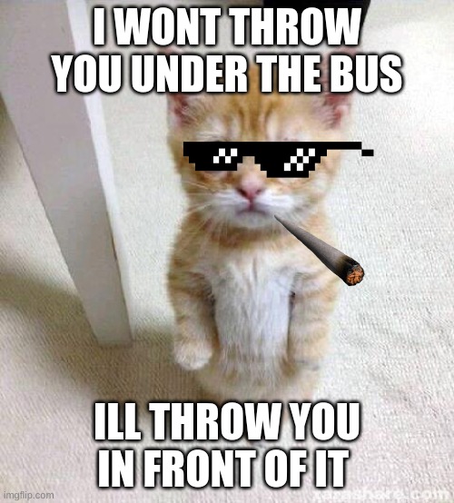 Cute Cat Meme | I WONT THROW YOU UNDER THE BUS; ILL THROW YOU IN FRONT OF IT | image tagged in memes,cute cat | made w/ Imgflip meme maker