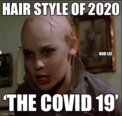 Covid 19 | HAIR STYLE OF 2020; ROD LEE; ‘THE COVID 19’ | image tagged in haircut,covid-19,bad hair day | made w/ Imgflip meme maker