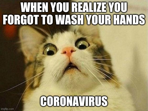 Scared Cat | WHEN YOU REALIZE YOU FORGOT TO WASH YOUR HANDS; CORONAVIRUS | image tagged in memes,scared cat | made w/ Imgflip meme maker