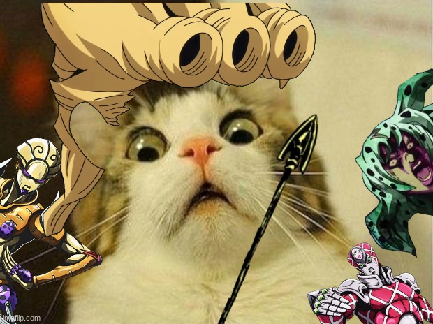 Jojo reference but with cat | image tagged in jojo's bizarre adventure,memes | made w/ Imgflip meme maker