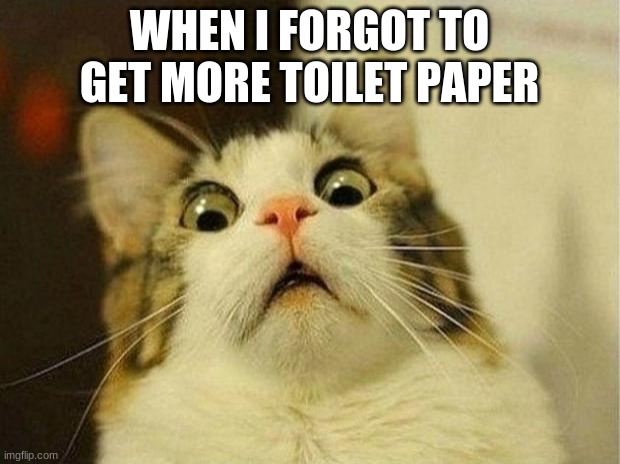 Scared Cat | WHEN I FORGOT TO GET MORE TOILET PAPER | image tagged in memes,scared cat | made w/ Imgflip meme maker