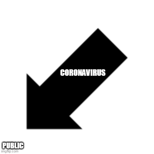CORONAVIRUS; PUBLIC | image tagged in arrows,corona | made w/ Imgflip meme maker