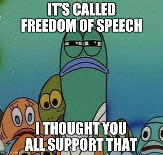 SpongeBob | IT'S CALLED FREEDOM OF SPEECH I THOUGHT YOU ALL SUPPORT THAT | image tagged in spongebob | made w/ Imgflip meme maker