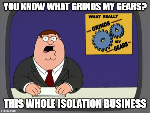 Isolation grinds my gears | YOU KNOW WHAT GRINDS MY GEARS? THIS WHOLE ISOLATION BUSINESS | image tagged in memes,peter griffin news,isolation,you know what grinds my gears,quarantine,funny | made w/ Imgflip meme maker