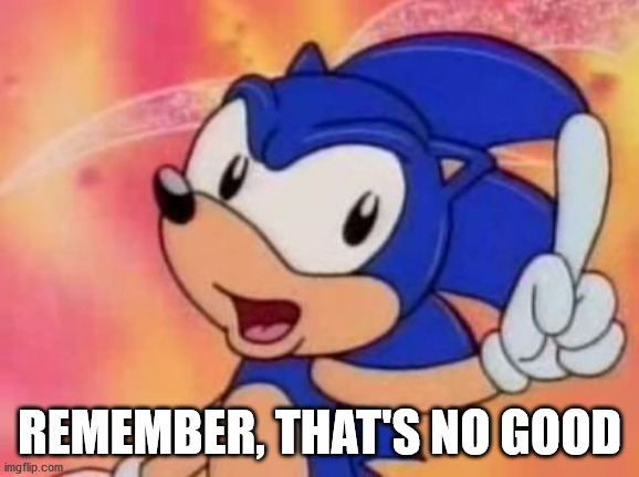 Sonic Sez | REMEMBER, THAT'S NO GOOD | image tagged in sonic sez | made w/ Imgflip meme maker